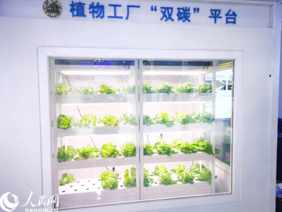 數(shù)字內(nèi)容制作服務(wù) 創(chuàng)新驅(qū)動(dòng)與價(jià)值實(shí)現(xiàn)